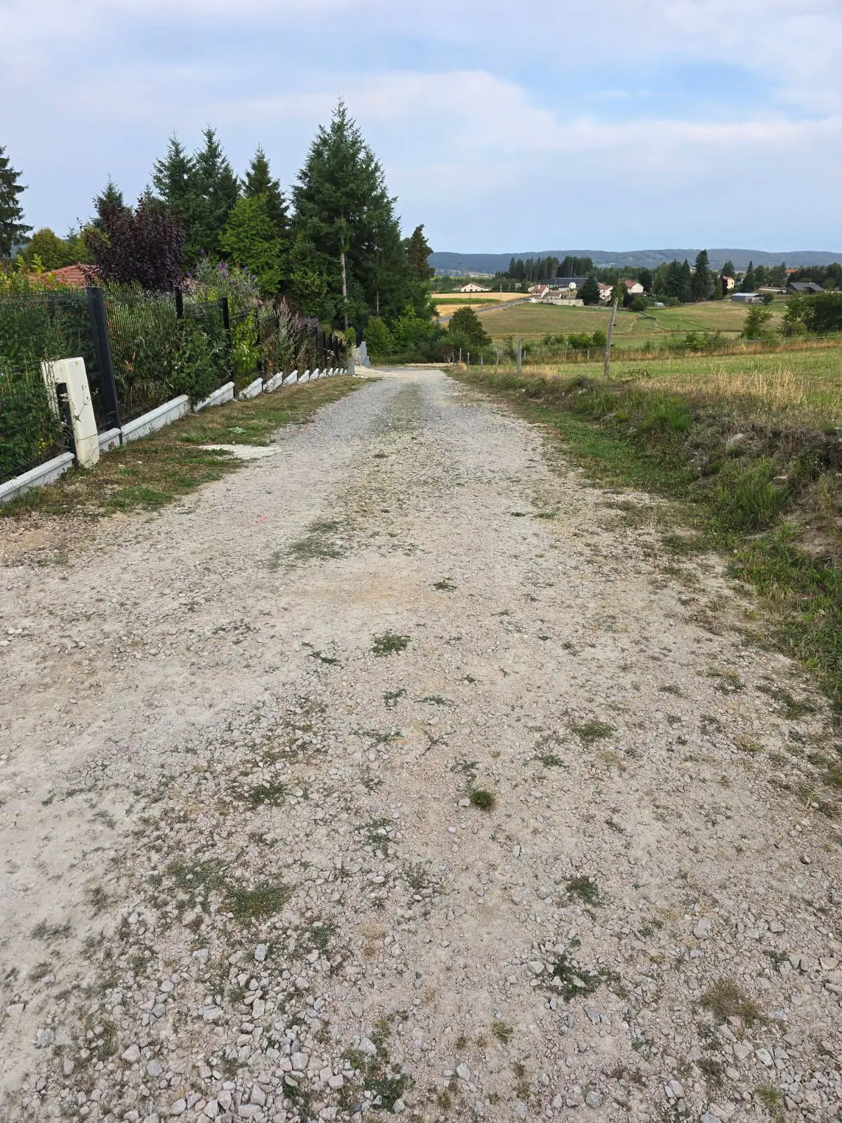Avant travaux : chemin d'accès en gravier envahi d'herbe, en bordure de campagne